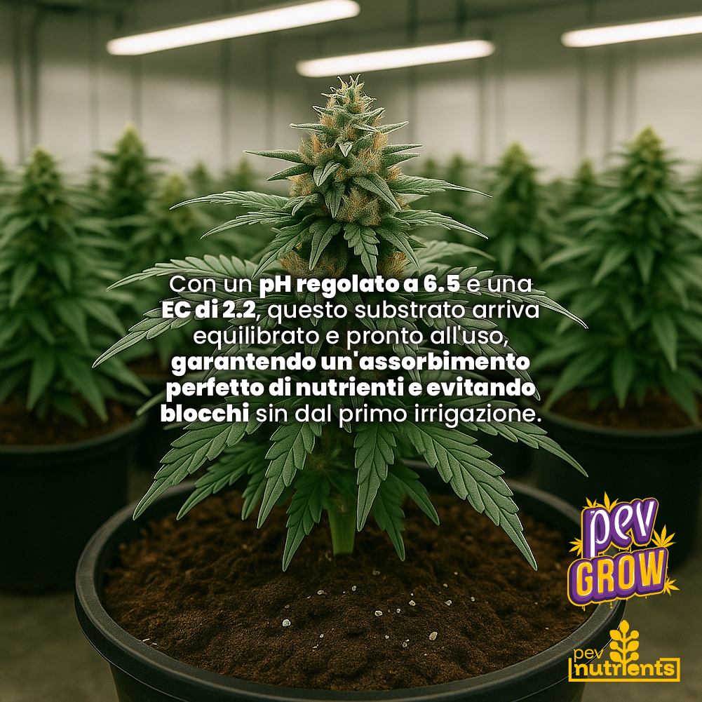 Terra Autoflower Pev Nutrients